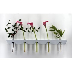 Soliflore mural tubes en verre vase mural Ikebana