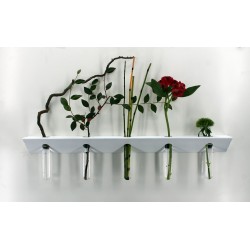 Soliflore mural Ikebana tubes en verre vase mural moderne et design